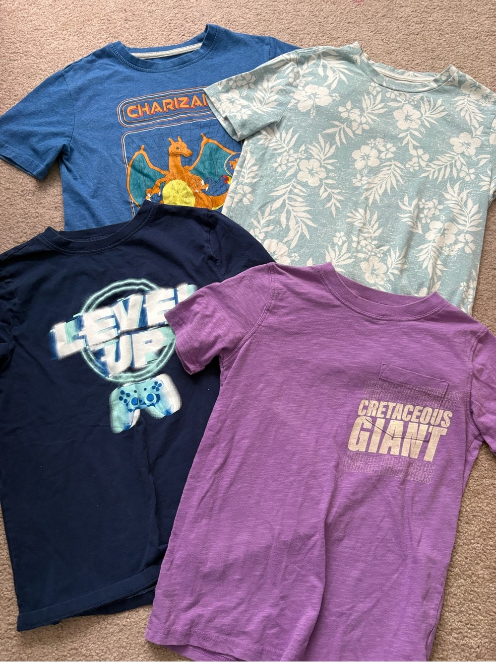 Boys Size 10/12 T-shirt Bundle
